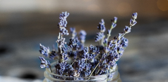 Aches and pains in TCM