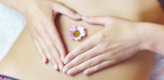 Female hormonal system